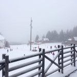 Planinarski dom - okolina Pirota
