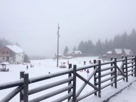 Planinarski dom - okolina Pirota