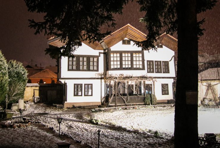 Muzej Ponisavlja