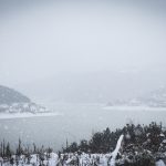 Zavojsko jezero u toku zime