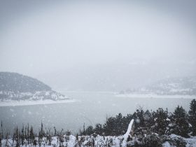 Zavojsko jezero u toku zime